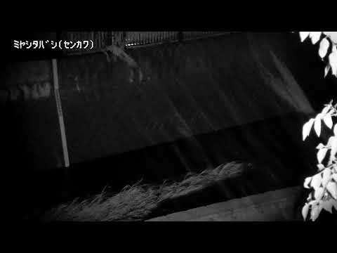 Sengawa Miyashita Bridge live cam preview