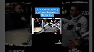 Did You Know? Brandy Knocks Out Immature’s Romeo’s Eye!?