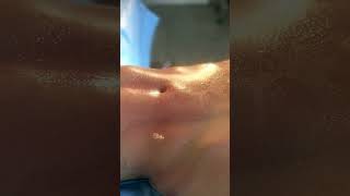 26 De Novembro De 2023