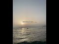 قلبي يعرف يخير اا زين يغير تصميم فيديوهات تيك توك شاشة سوداء ماله حل الشعب الصيني