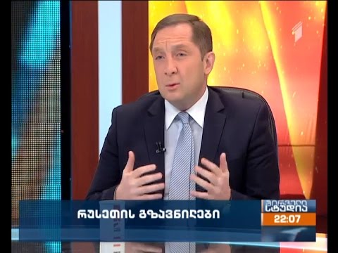 პეტრიაშვილი - რუსეთისგან რეგიონულ უსაფრთხოებაზე ზრუნვის შესახებ განცხადებები ცინიკურია