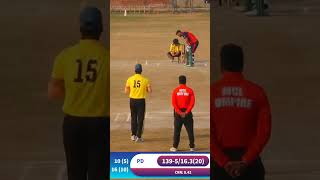 Celebrity QUICK REFLEXES #vkjcricket #shorts Net Worth