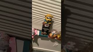 IMG 1273