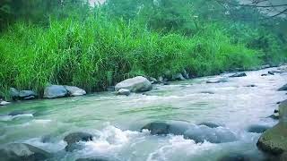 Beautiful Relaxing River Sounds Nature Forest For Meditation - Water Sounds For Sleep - Study - ASMR