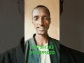 Online Chinese English Amharic And Learnoromo Oromoo Learnafaanoromooo Education English 