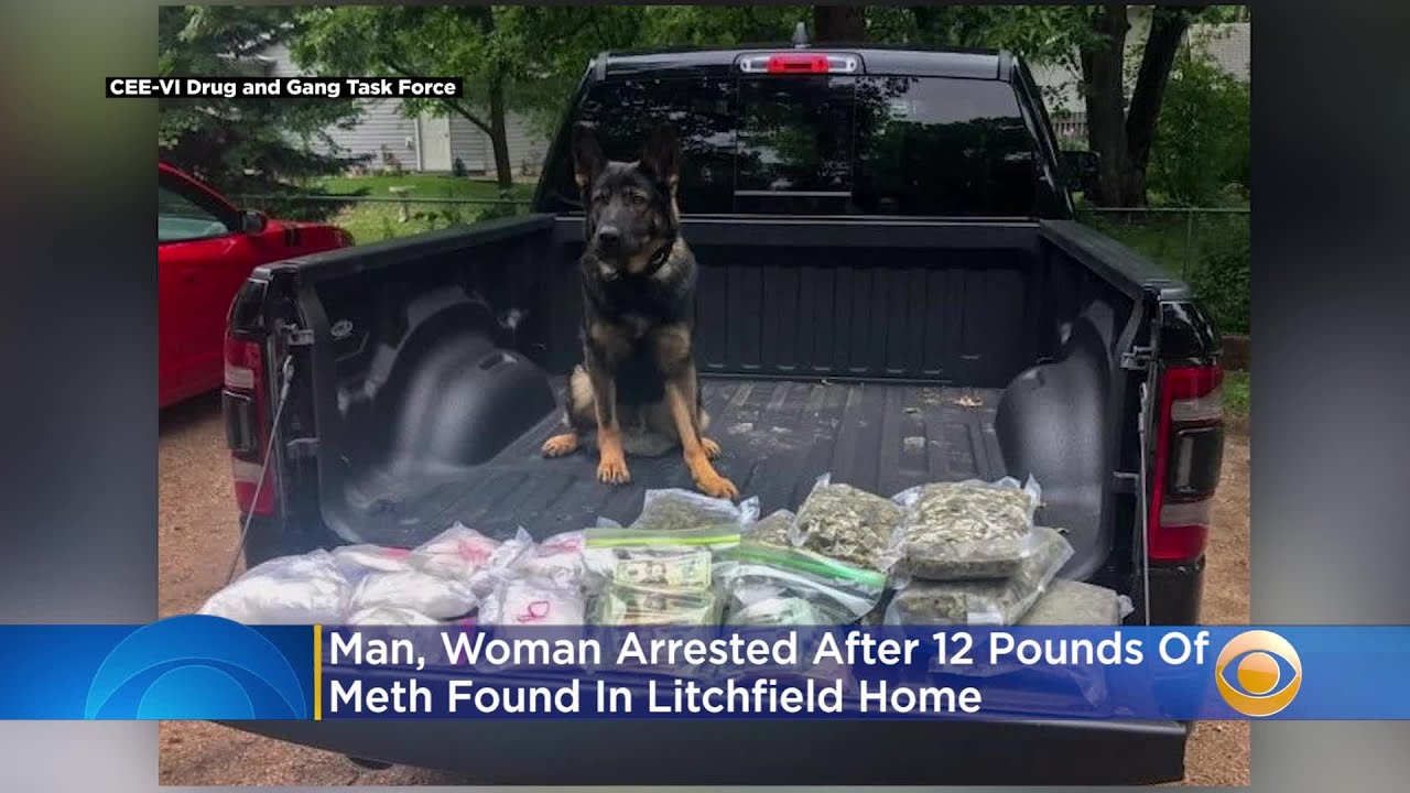 Man, Woman Arrested After 12 Pounds Of Meth Found In Litchfield Home ...