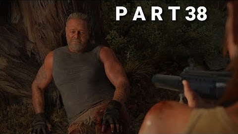THE LAST OF US 2  Walkthrough Gameplay - part 38 (PS4) No Commentary