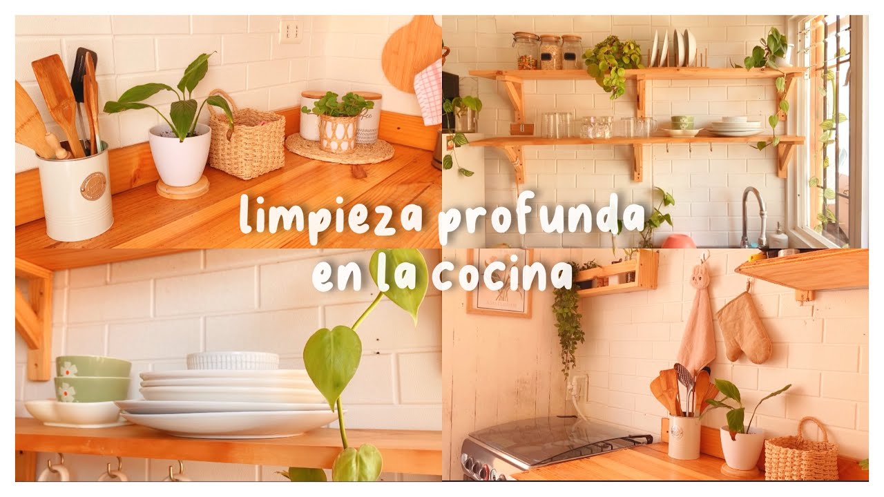 consejos para limpiar la cocina•limpia y ordena profundamente🪴clean ...