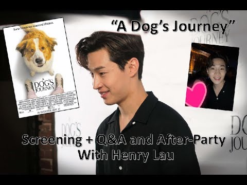 Henry Lau Special Screening Of A Dog S Journey Q A And After