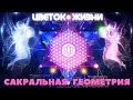 Цветок жизни в его проявлениях. Сакральная геометрия и путь жизни. Наталья КОЛОНТАЕВСКАЯ