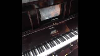 PIANO PAVILION PIANOLA Marcheta