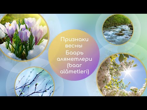 5 главных слов - Признаки весны - баарь аляметлери (baar alâmetleri)