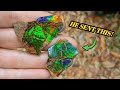 I Was Sent a Box Full of Dinosaur-Aged Fossils, Crystals, Geodes, & More! Unboxing Montana Treasure!