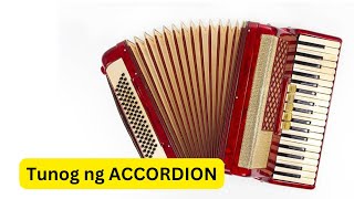 Tunog Ng Accordion Sound Of Accordion