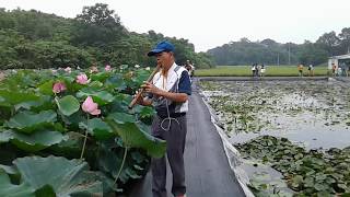 白河遊.洞簫練習.舊情綿綿.賞蓮花.
