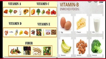 DAV, Class 4, Science, Lesson- 7,Food