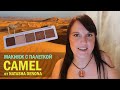 Макияж с палеткой Camel от Natasha Denona