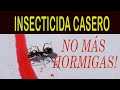 EL MEJOR INSECTICIDA CASERO PARA HORMIGAS!