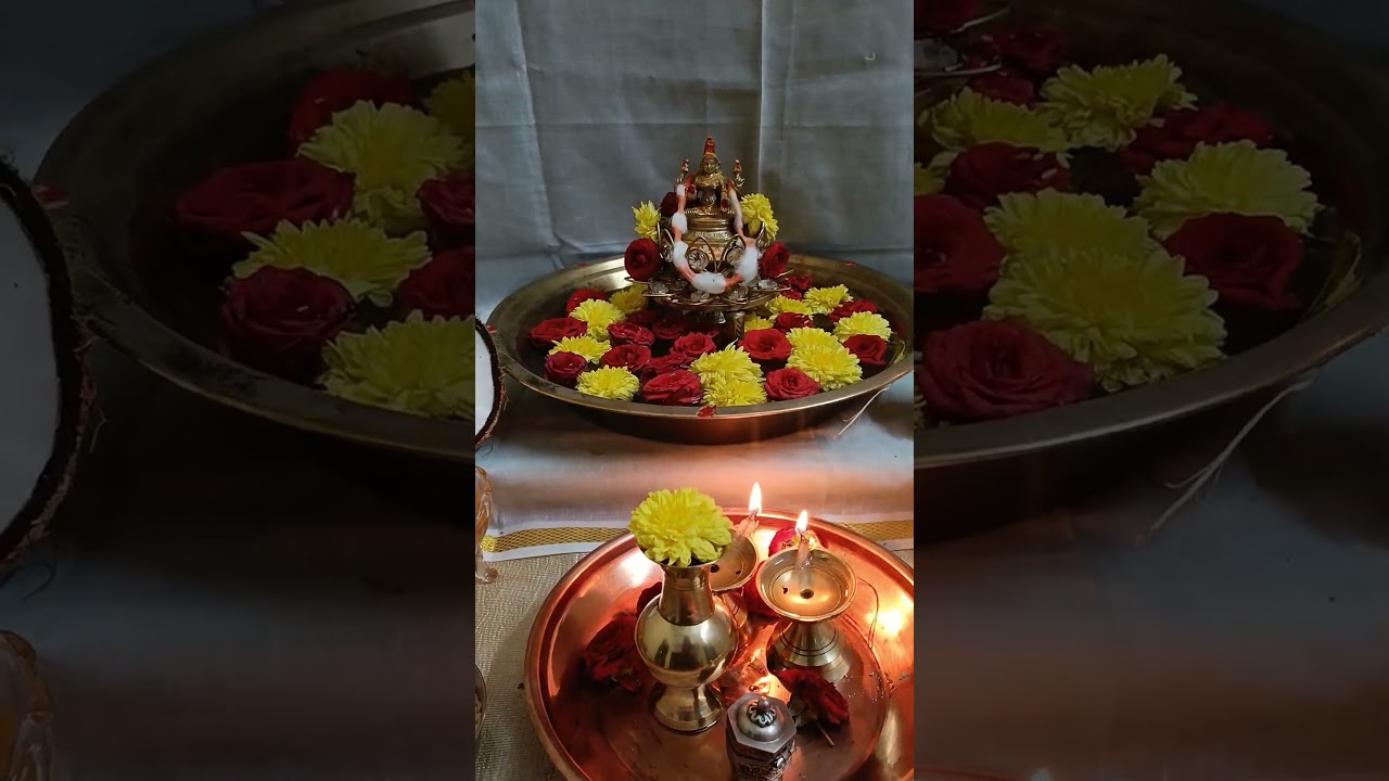 🙏🌸❤️#viral #yt #ytshorts #ytshortsindia #youtube #youtubeshorts #youtubevideo #youtuber #trending