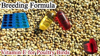 Evion Capsule for Chickens | Poultry Birds Breeding Formula | Dr. ARSHAD