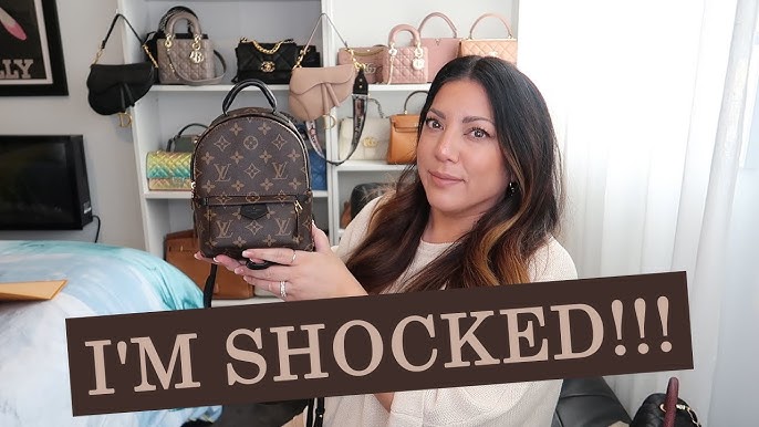 6 REASONS YOU SHOULD NOT BUY THE LOUIS VUITTON PALM SPRINGS BACKPACK MINI