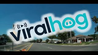 Out of Control Car Reverses Into Car Park || ViralHog