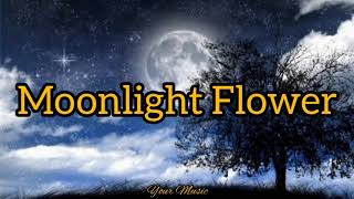 Moonlight Flower (Lyrics) | Michael Cretu