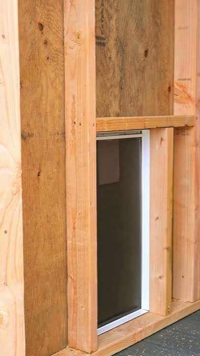 this-is-not-your-average-dog-kennel-shed-world-california-youtube
