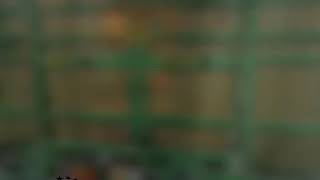 Bottero 231Bcm 1996 Cnc Gl Cutting Machine