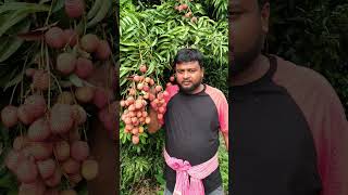 fresh fruits (ASFC)🍑🍒🍑🍋🍎🫐🫐