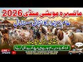 mansehra maweshi mandi 2026 |Aam Zameendar ka intihai sasta Mall|mandi rates update|Goat cow sheep