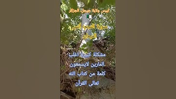 الله يرحم لي كان عايش بكلام ربي..مؤلم حقًا!النجم:أنس لميمان#قرآن #تلاوة_عذبة #جيجل#الجزائر