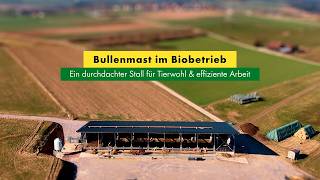 Download lagu Bullenmast im Biobetrieb – durchdachter Stall für Tierwohl & effiziente Arbeit