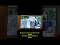 Hawaii Doctor Cliff Attack: Wife’s Bloody Bodycam Footage