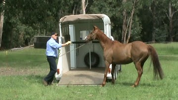 Horse Training - Float Loading Video Training 3 Overview