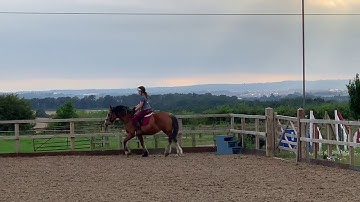 Schooling leg yield canter trans & circles