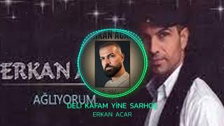 Erkan Acar - Deli Kafam Yine Şarhoş Resimi