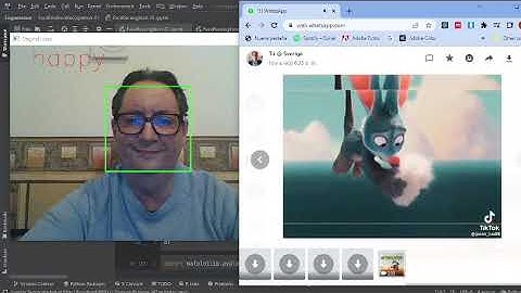 Demo Face Emotion Recognition