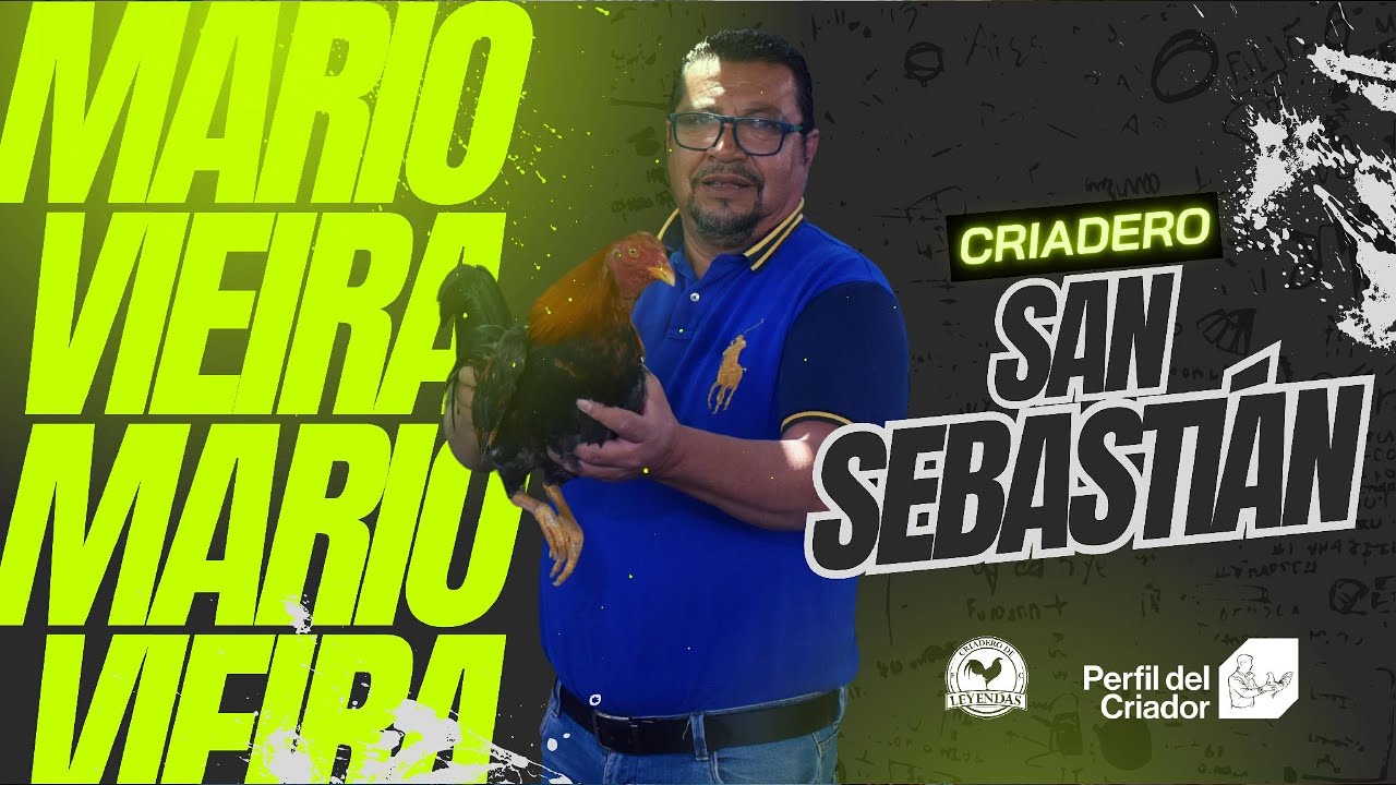 EL PERFIL DEL CRIADOR – MARIO VIEIRA cap1 🐓🔥