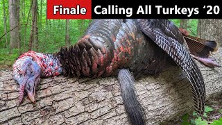 HOT, JUNE GOBBLERS! - Michigan Public Land Turkey Hunting
