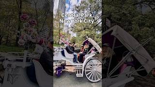 New York City! #nyc #newyork #shorts #centralpark #friends #friendship #besties #rvlife