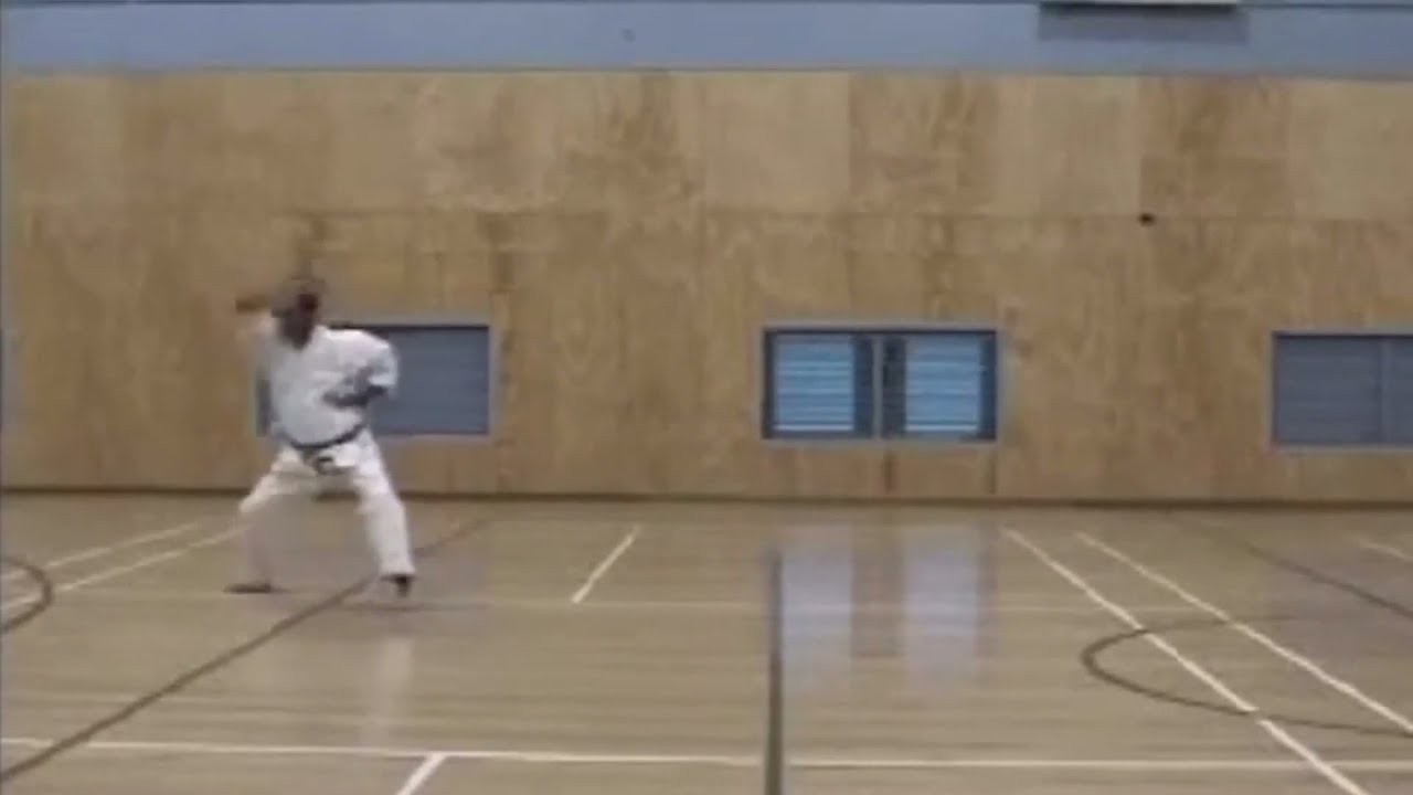 Zen Do Kai kata The Dragons way. YouTube