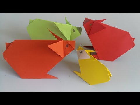 Video: Kağıt Hamster Nasıl Yapılır