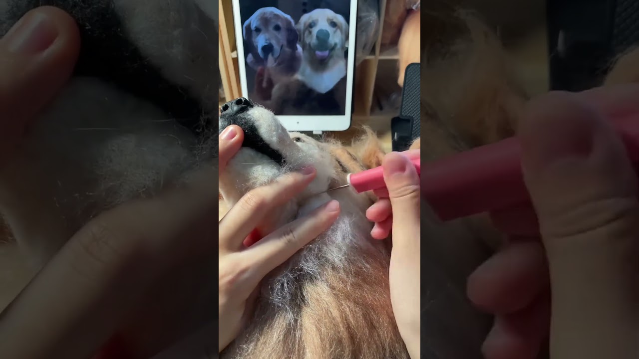 ✨ Handmade Custom Framed Twin Dog Portrait 🐶❤️ | Unique Pet Art Keepsake  