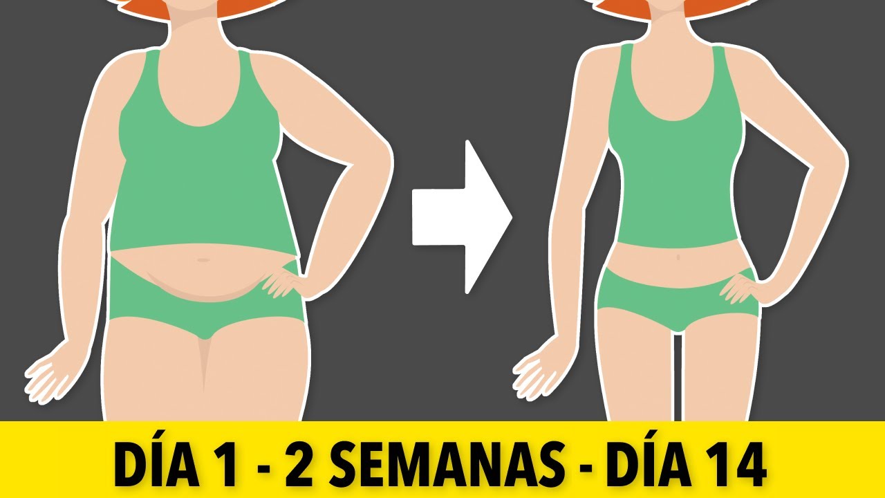 VIENTRE PLANO EN 2 SEMANAS ABS DE PIE PARA PERDER LA GRASA DEL vientre-plano-en-2-semanas-abs-de-pie-para-perder-la-grasa-del