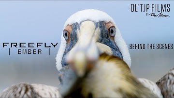 "7 Days with Freefly EMBER" Behind The Scenes!