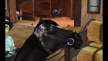 WHY??? | Star stable Randomness | SSO |