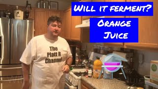 Will it ferment? Orange Juice