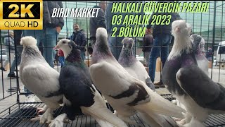 HALKALI GÜVERCİN PAZARI [03.12.2023] 2.BÖLÜM #pigeon #birds #animals #güvercin