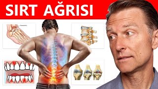 Sırt Ağrısına Neden Olan Başlıca Vitamin Eksiklikleri Drberg Türkçe